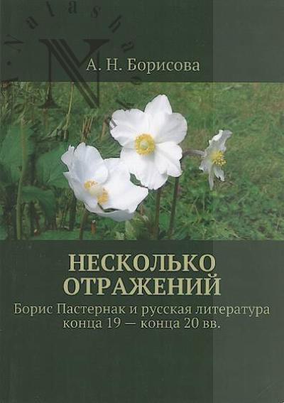 Борисова А.Н. Несколько отражений