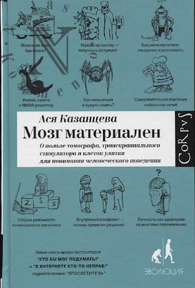 Kazantseva Asia. Mozg materialen.