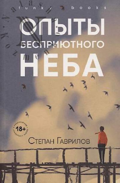 Gavrilov Stepan. Opyty bespriiutnogo neba