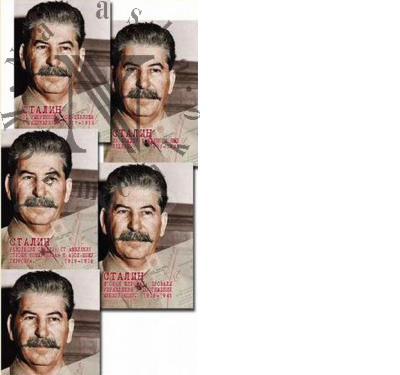 "Vozhd'" I.V. Stalin v dokumentakh i fotografiiakh 1917-1953