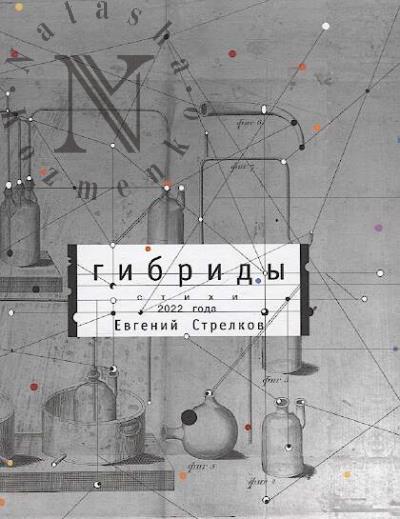 Strelkov Evgenii. Gibridy
