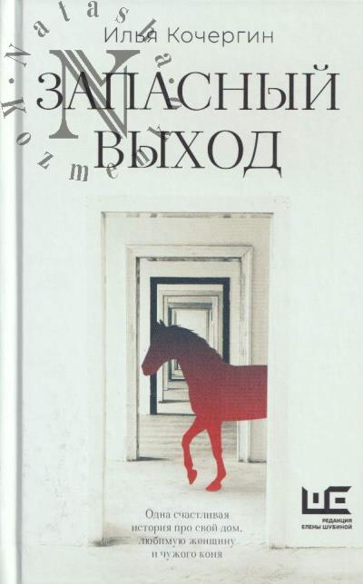 Кочергин Илья. Запасный выход