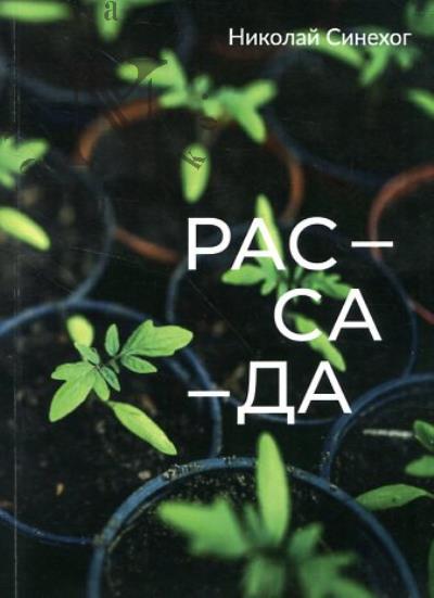 Синехог Николай. Рассада