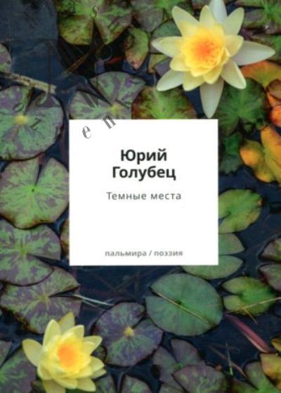 Голубец Юрий. Темные места.