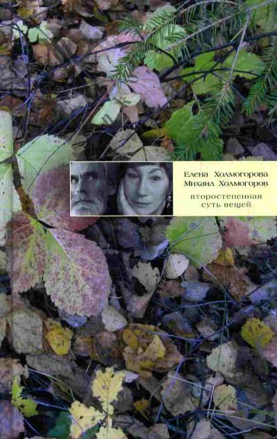 Kholmogorova E. Vtorostepennaia sut' veshchei