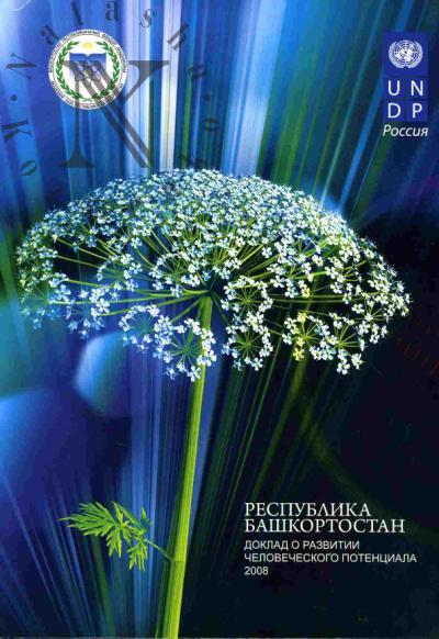 Respublika Bashkortostan. Doklad o razvitii chelovecheskogo potentsiala. 2008